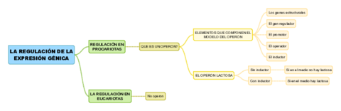 TEMA13-LA-REGULACION-DE-LA-EXPRESION-GENICA.pdf