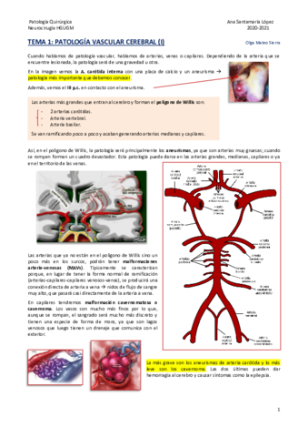 Tema-1-Patologia-vascular-cerebral-I.pdf