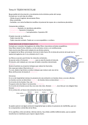 Tema-8-Tejido-muscular.pdf