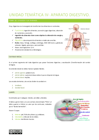 UNIDAD-TEMATICA-IV.pdf