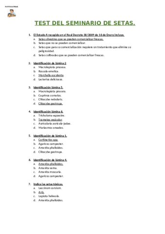 TEST-DEL-SEMINARIO-DE-SETAS.pdf