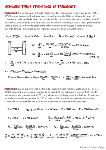 CFFQF2T1SeminarioResuelto.pdf