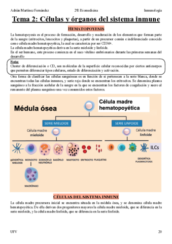 Tema-2.pdf