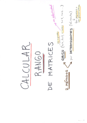 RANGO-DE-MATRICES.pdf