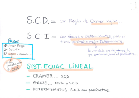 SARRUS.pdf