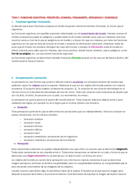 tema 7.pdf