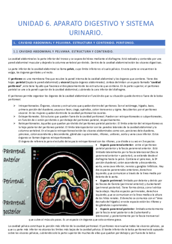 unidad-6-anatomia.pdf