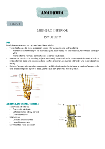 MIEMBRO-INFERIOR.pdf