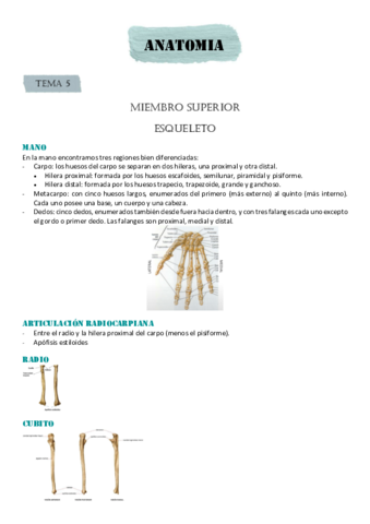 MIEMBRO-SUPERIOR.pdf