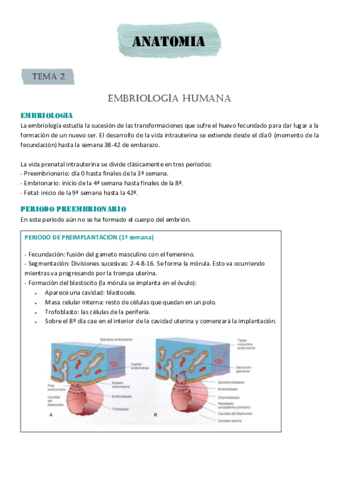 EMBRIOLOGIA-HUMANA.pdf