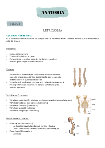 RETROSOMA.pdf