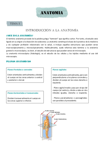 INTRODUCCION-A-LA-ANATOMIA.pdf