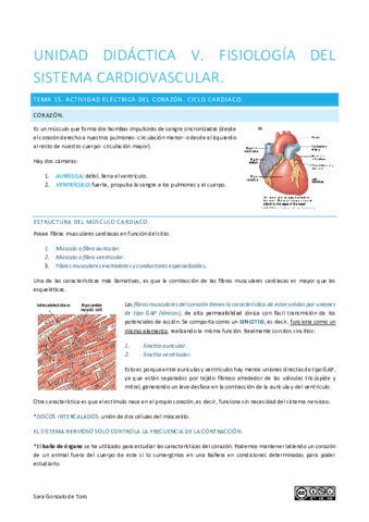 UNIDAD-DIDACTICA-V.pdf