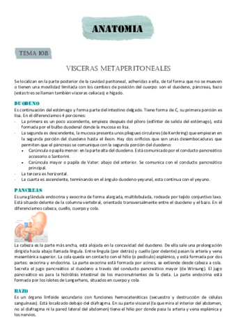 VISCERAS-METAPERITONEALES.pdf