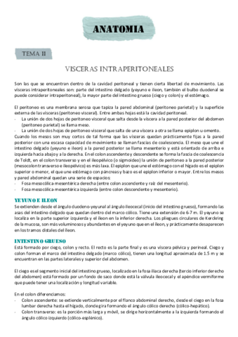 VISCERAS-INTRAPERITONEALES.pdf