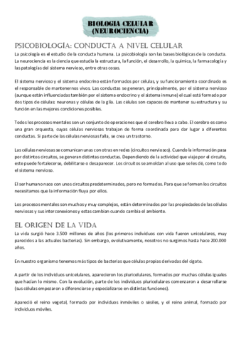 Parcial-1.pdf