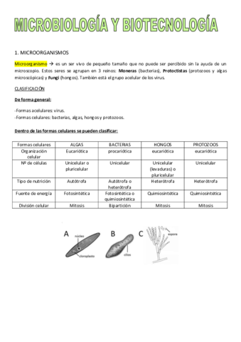 MICROBIOLOGIA.pdf