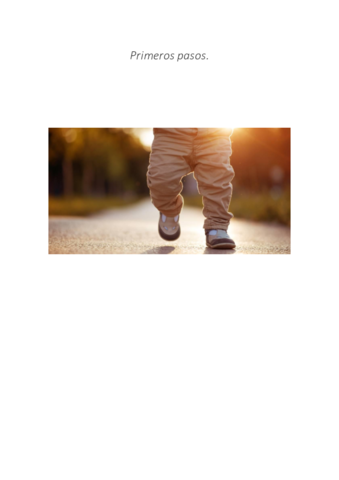 Primeros-pasos.pdf