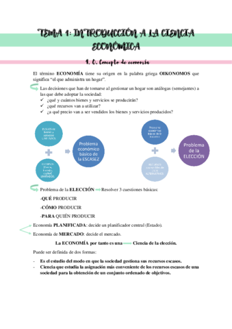 TEMA-1-ECONOMIA.pdf