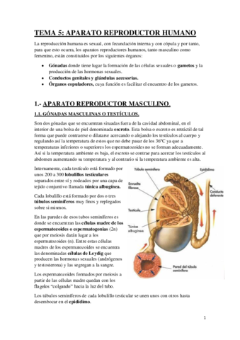 Aparato-reproductor-1o-Bach.pdf