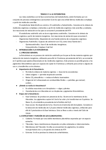 Tema-5-y-6-La-Fotosintesis.pdf