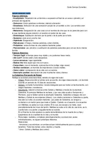 resum-examen-caste.pdf