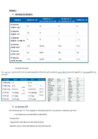 Resumen-basico-Frances.pdf