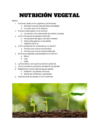 NUTRICION-VEGETAL-1.pdf