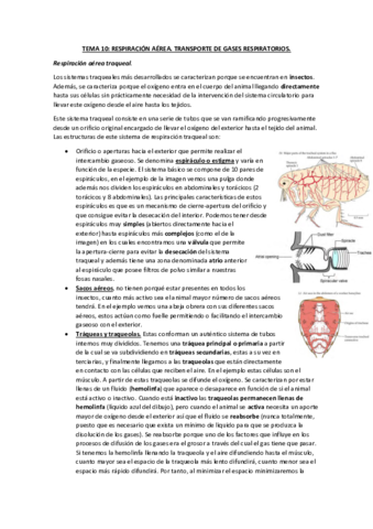 Tema-10-apuntes-completos.pdf