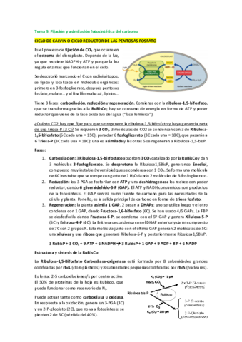 Tema-9.pdf