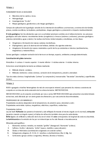 Resumen TEMA 1 2 3 4.pdf