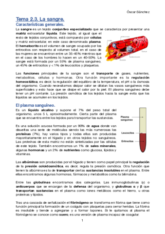 Tema-2-3-BCH-II.pdf