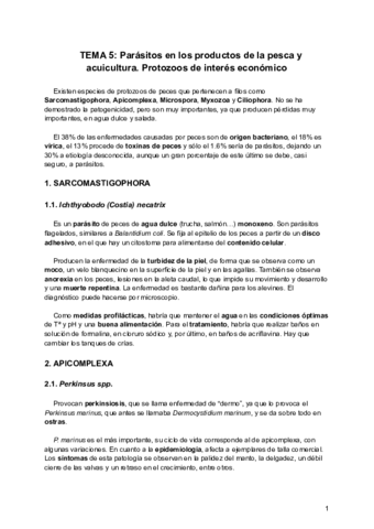 Tema-5-PA.pdf