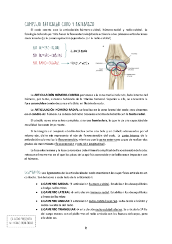 Unidad-II-Codo-y-Antebrazo.pdf