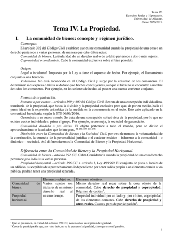 Tema-IV.pdf