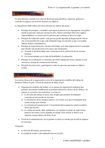 TEMA-11.pdf