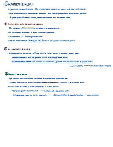 Metabolismoa-Anabolismoa.pdf