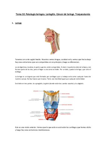 Tema-32-Patologia-laringea.pdf
