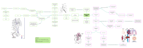 Circulacion-fetal-2.pdf