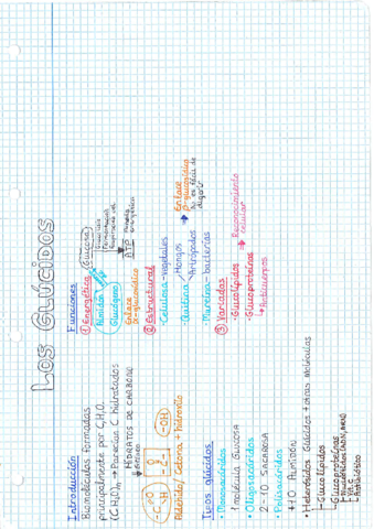 Los-glucidos.pdf