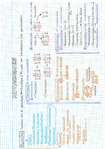 Mutaciones.pdf