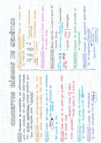 Genetica.pdf