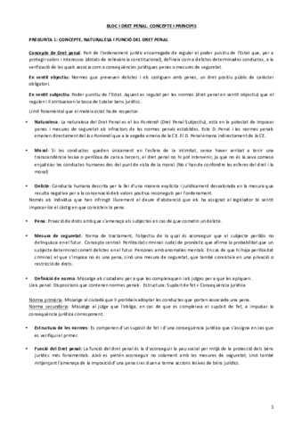 Penal-I.pdf