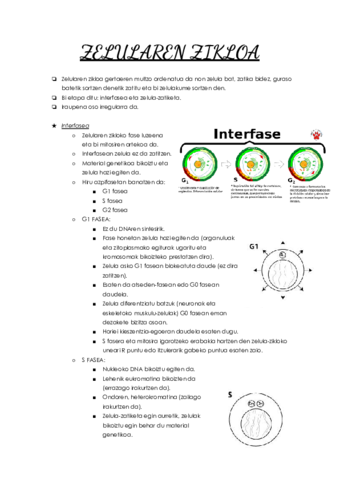 ZELULAREN-ZIKLOA.pdf
