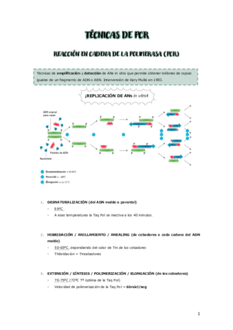 TECNICAS-DE-PCR.pdf