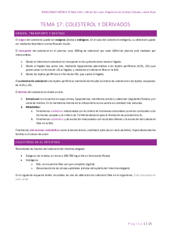 TEMA-17-COLESTEROL-Y-DERIVADOS.pdf