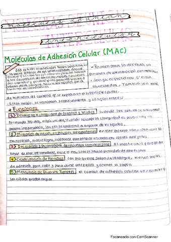 Moleculas-de-union-intercelular.pdf