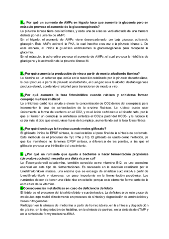 Copia-de-metabo.pdf