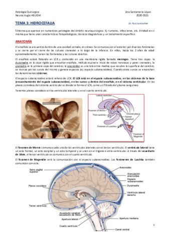 Tema-3-Hidrocefalia.pdf