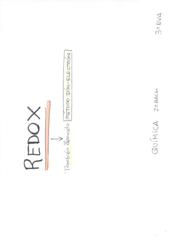REDOX.pdf
